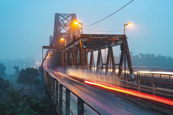 Quels sont les avantages de la zoothérapie pour les personnes âgées ?